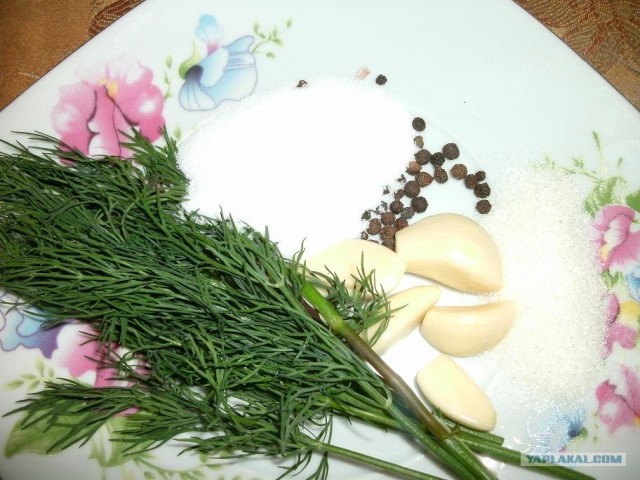 Заготовки на зиму for Sveshka