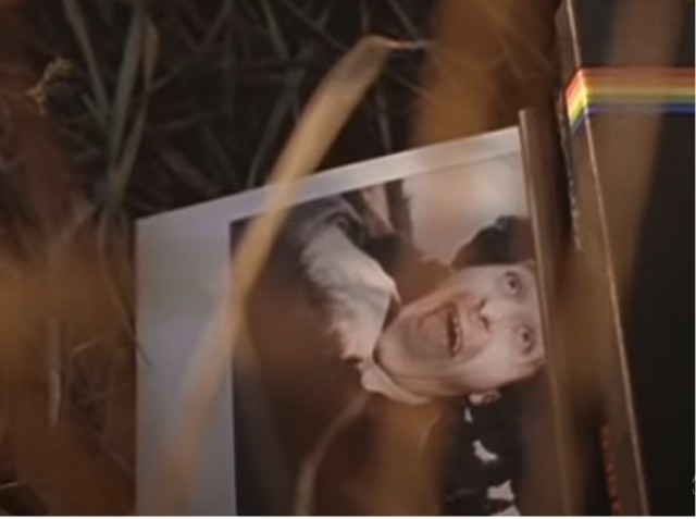 Как обанкротили фирму Polaroid