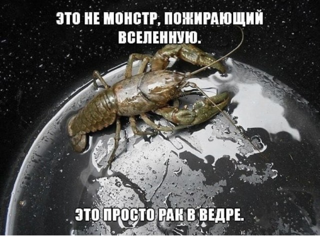 Так себе картинки 05.11.21