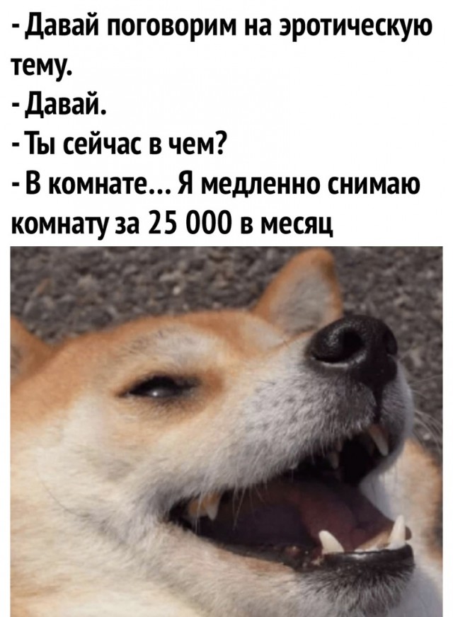 Так себе картинки 18.12.21