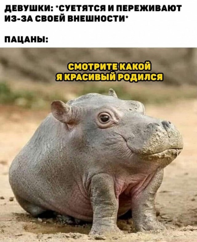 Картинки и мемы для настроения 21.12.21