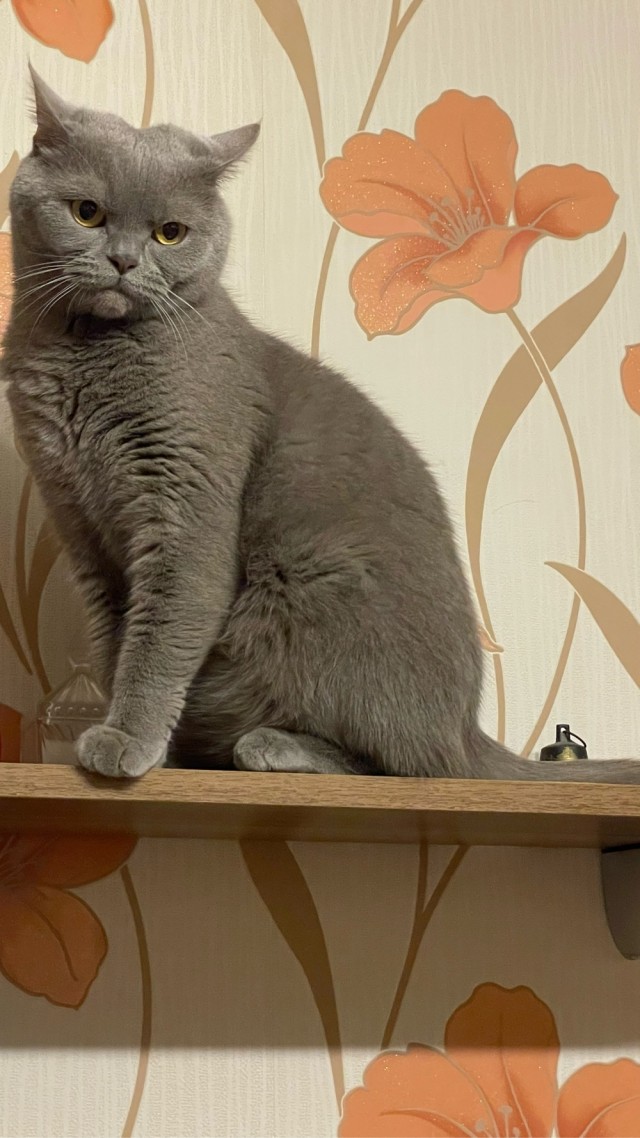А что, уже вторник?