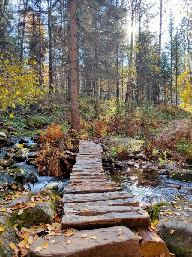 Пандемия. Коронавирус и съехавшие крыши. Россия и мир. Часть 34.