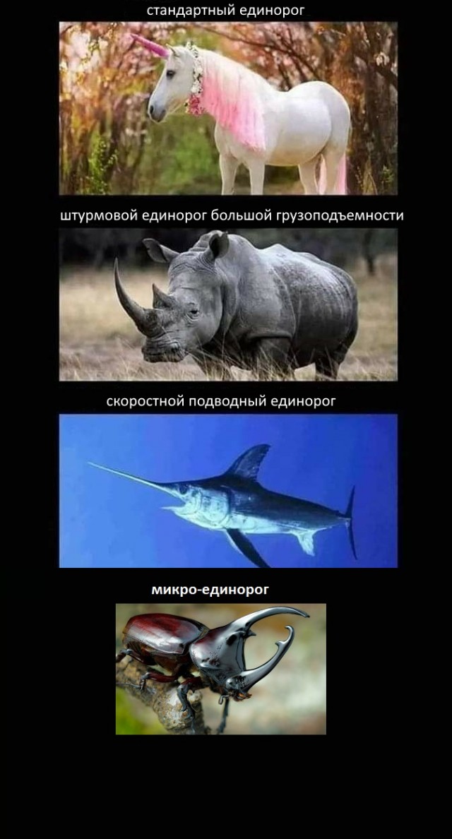 Так себе картинки 11.06.22
