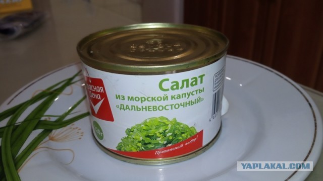 Пандемия съехавших крыш - разновидности болезни. Россия и мир. Часть 38