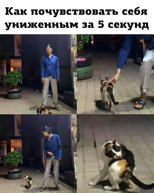 Так себе картинки 25.07.22