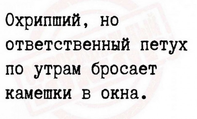Картинки и мемы, всем хороших выходных