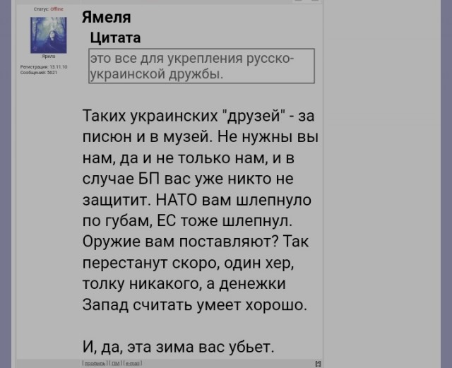 Котики и собачки, СВО и утя