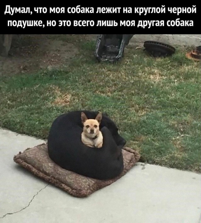 Немного картинок для настроения