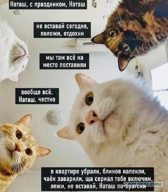 Победная поступь идиотизма по планете – том 10