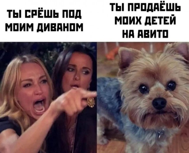 Подборка картинок 03.05.2023