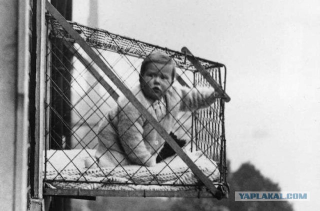 Балкон для кота на окно установлен у кого нить?