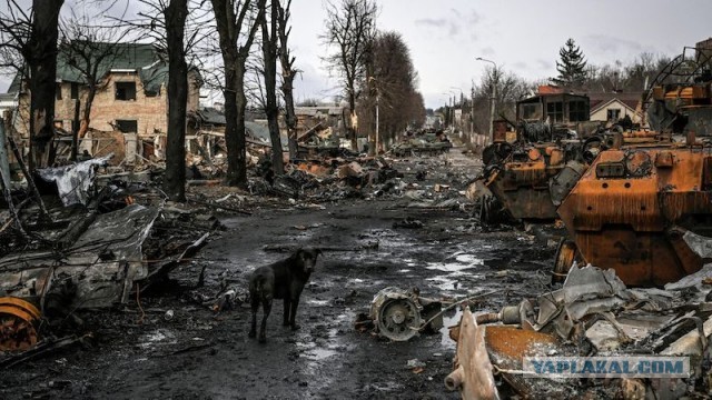 ВС РФ захватили планшет с системой «Крапива» в ходе штурма позиций ВСУ