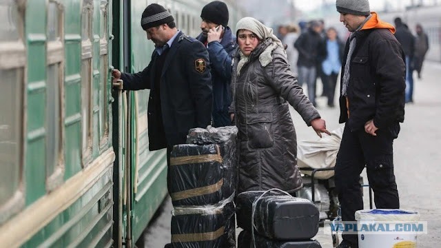 Мигранты внезапно побежали из России: Ультиматум или хитрый план ?