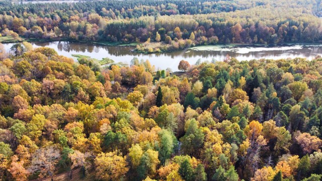 Краски осени