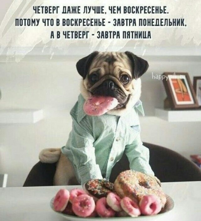 Химия и жизнь