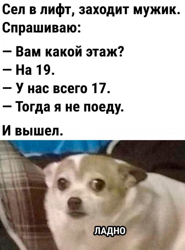 Народная меДИЧина 8025