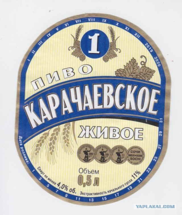 Какое пиво пить в сегодняшнее время?