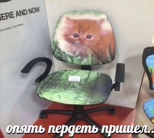 Всего понемногу. Оо 22.02.24