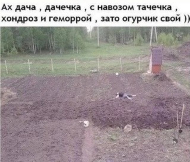 Вот бы всем дачникам такую технику, к посадочному сезону