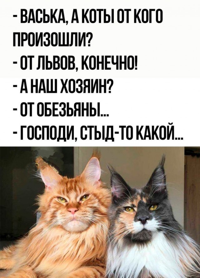 Прикольные и просто красивые картинки 24.05.2024