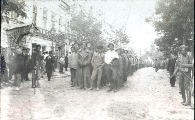 1917-1920. Из архива генерала Антона Ивановича Деникина