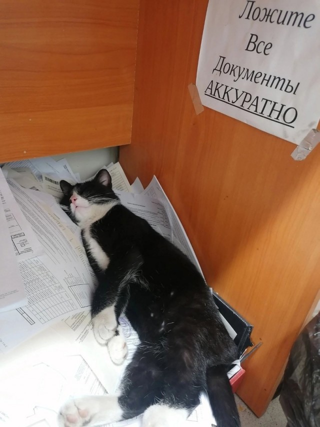 Так себе картинки 24.07.24