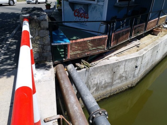 Работа в море. Трактаты Карибского моря, ч.2