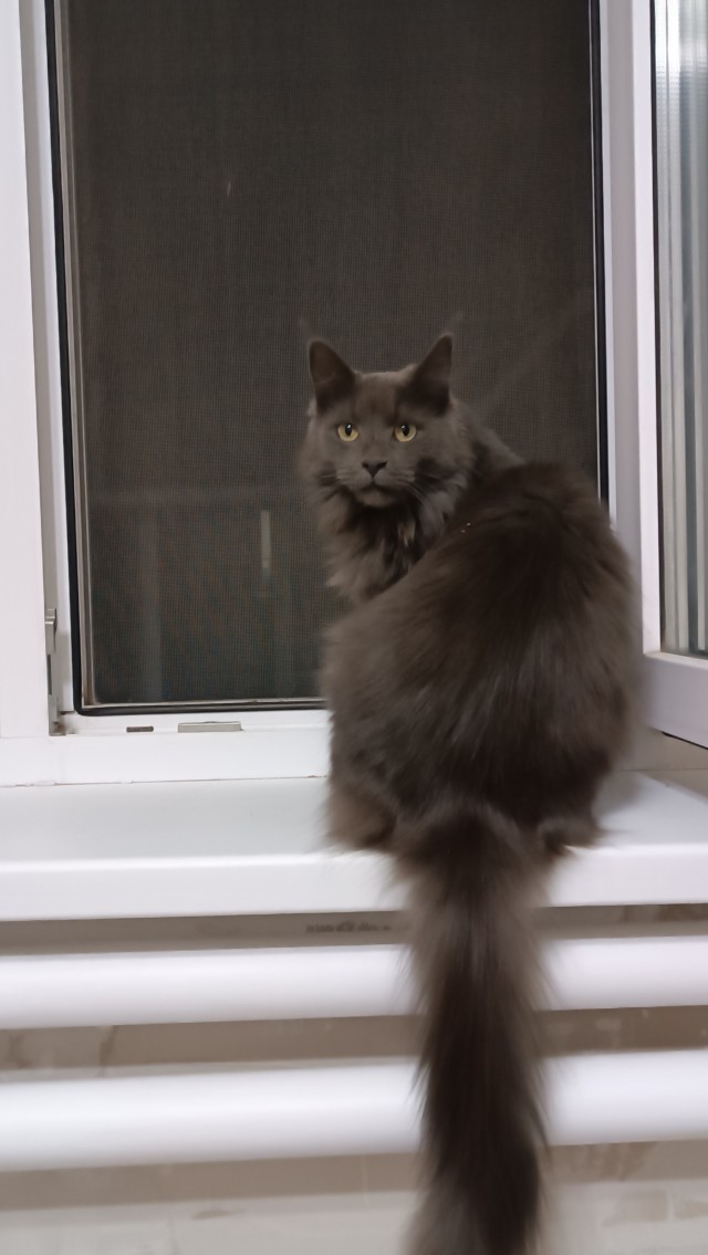 Коробочки наше фсё