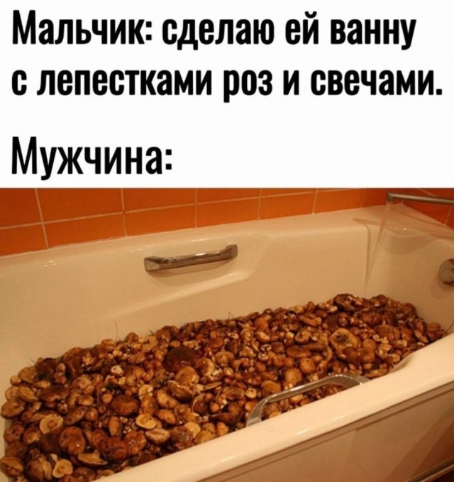 Так себе картинки 12.11.24
