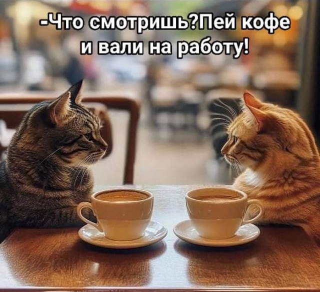 Пятничное улыбательное.