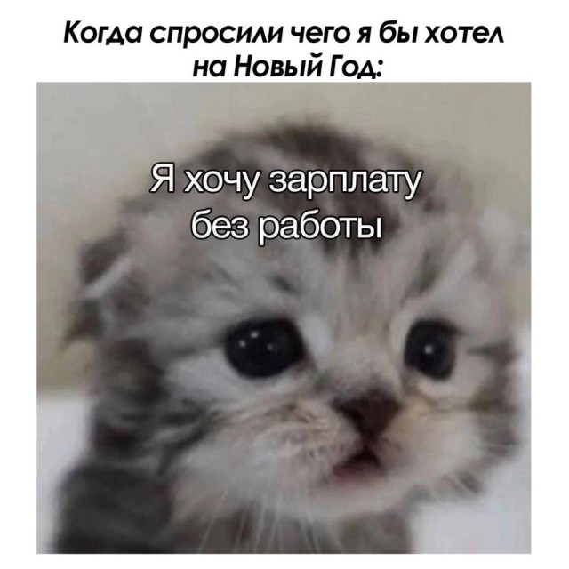 Весёлый полтишок 10.12.24