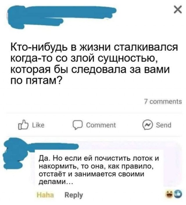 Веселые картинки в понедельник (03.02)