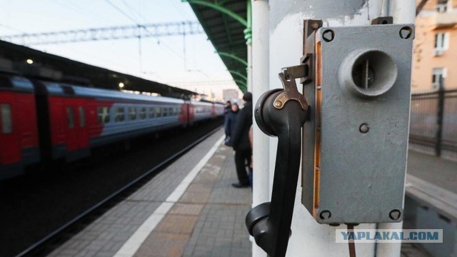 В РФ вводится уголовная ответственность за несообщение о подготовке диверсии