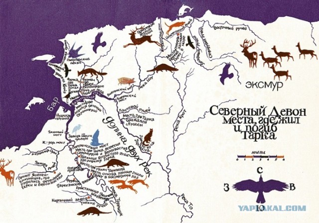 Хочу такую же милоту.... Эхх
