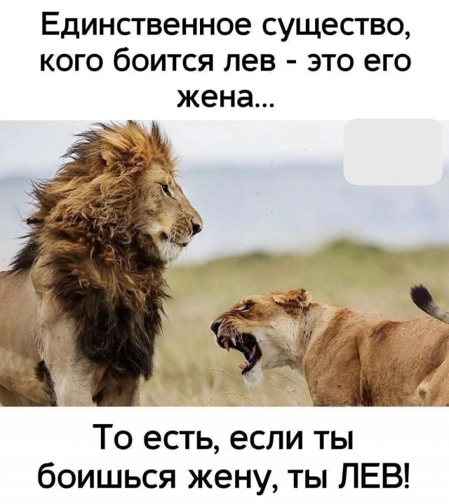 Маленькая пятница 18.06