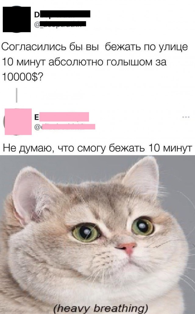 Так себе картинки 07.07.25