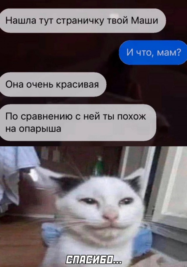 Веселое настроение в картинках 24.07.25