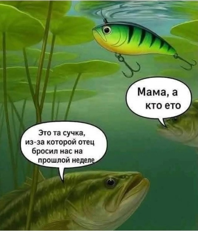Так себе картинки 02.09.25