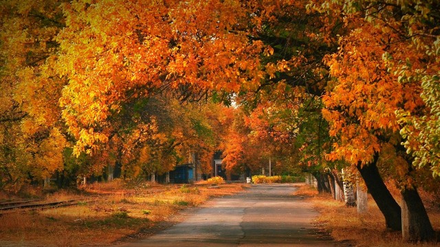 Осень в объективе.