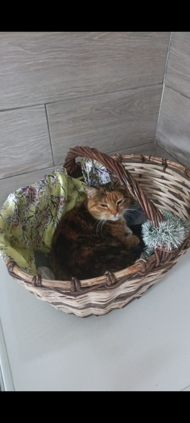 За секунду до...
