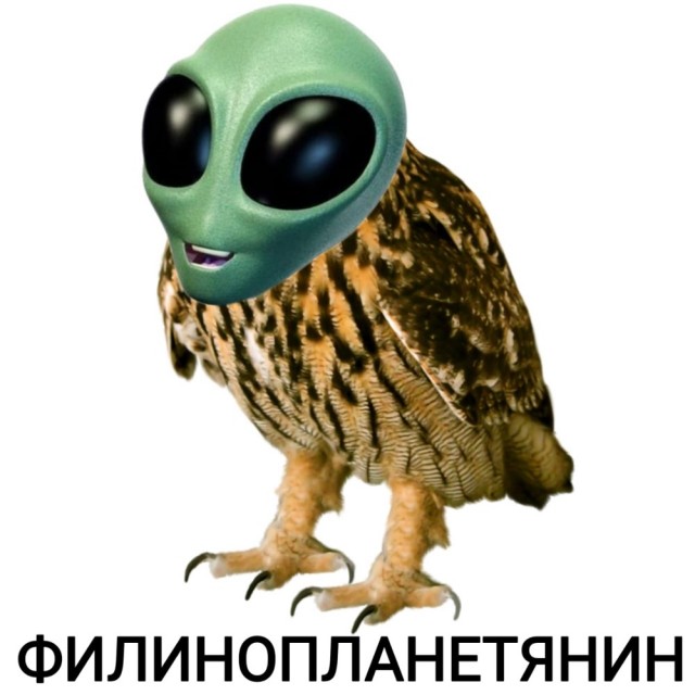 Картинки среды