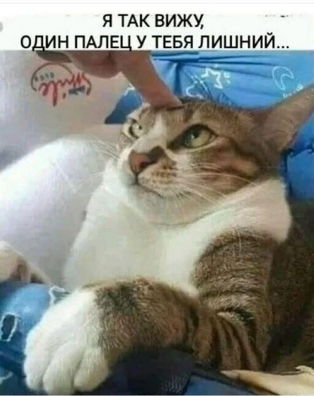 Понедельника картинки