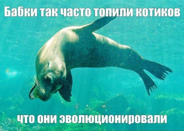 Веселые картинки в понедельник (27.04)