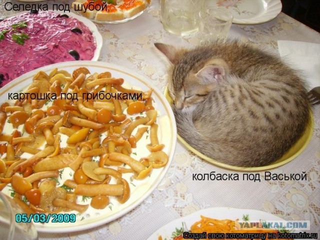 А вот и тортик