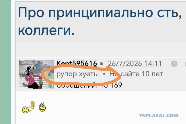 Про принципиально сть, коллеги.