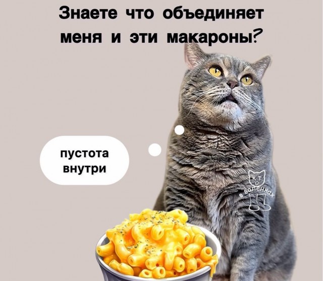 Веселое настроение в картинках 16.08.26