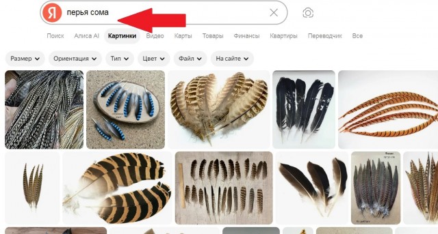 Обрили уже
