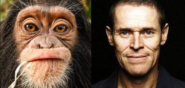 Фотоконкурс National Geographic Photo  2013