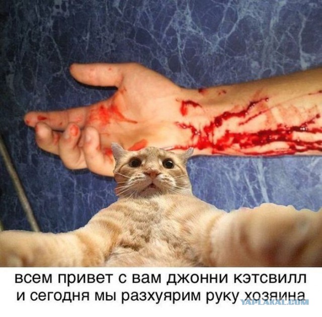 Приколы и маразмы 2